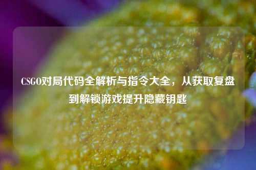 CSGO对局代码全解析与指令大全，从获取复盘到解锁游戏提升隐藏钥匙
