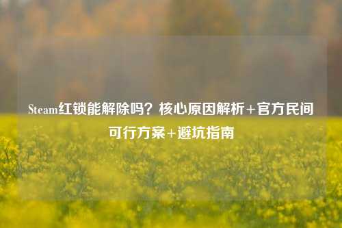 Steam红锁能解除吗?核心原因解析+官方民间可行方案+避坑指南