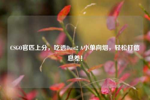 CSGO官匹上分,吃透Dust2 A小单向烟,轻松打信息差!