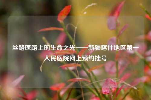 丝路医路上的生命之光——新疆喀什地区之一人民医院网上预约挂号