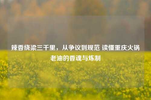 辣香绕梁三千里，从争议到规范 读懂重庆火锅老油的香魂与炼制