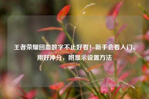 王者荣耀回血数字不止好看！新手会看入门、用好冲分，附显示设置 *** 