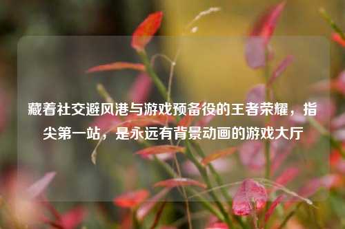 藏着社交避风港与游戏预备役的王者荣耀，指尖之一站，是永远有背景动画的游戏大厅
