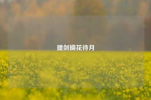 提剑摘花待月