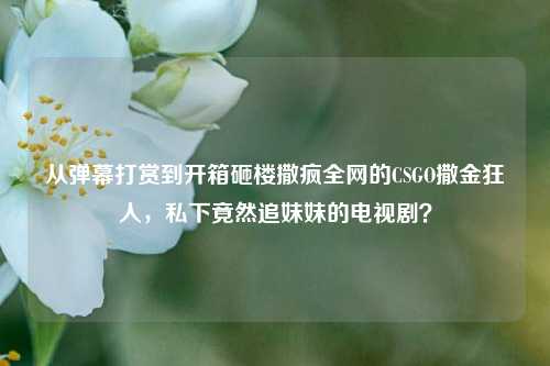 从弹幕打赏到开箱砸楼撒疯全网的CSGO撒金狂人,私下竟然追妹妹的电视剧?