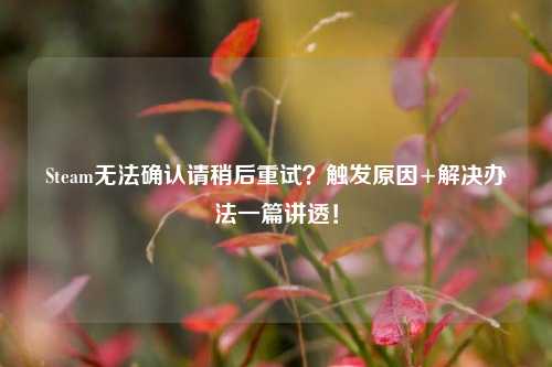 Steam无法确认请稍后重试?触发原因+解决办法一篇讲透!