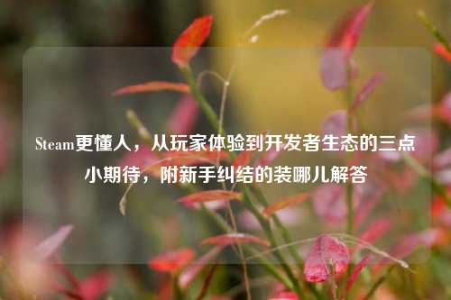Steam更懂人，从玩家体验到开发者生态的三点小期待，附新手纠结的装哪儿解答