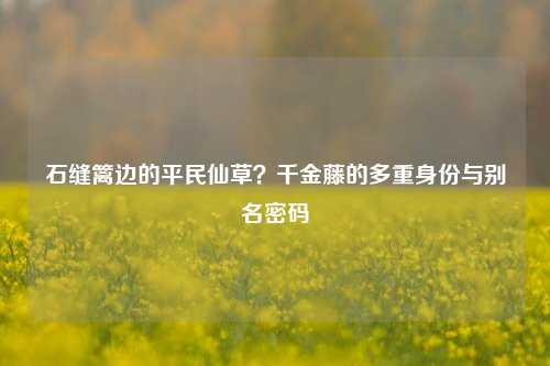 石缝篱边的平民仙草？千金藤的多重身份与别名密码