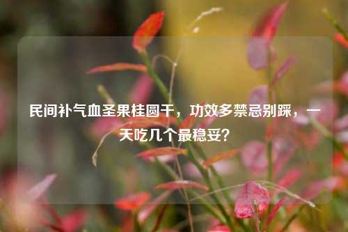 民间补气血圣果桂圆干，功效多禁忌别踩，一天吃几个最稳妥？