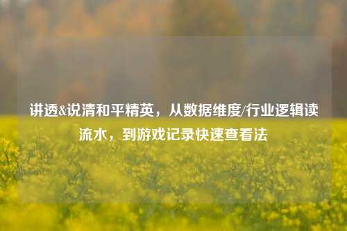 讲透&说清和平精英，从数据维度/行业逻辑读流水，到游戏记录快速查看法