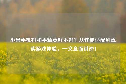 小米手机打和平精英好不好？从性能适配到真实游戏体验，一文全面讲透！