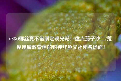 CSGO椰丝真不错限定观光站!盘点茄子沙二/荒漠迷城双管道的封神炸鱼又社死名场面!