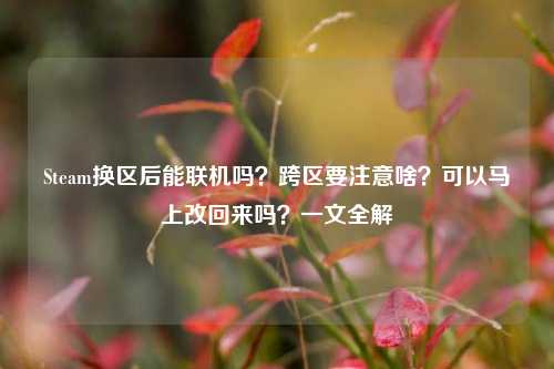 Steam换区后能联机吗?跨区要注意啥?可以马上改回来吗?一文全解