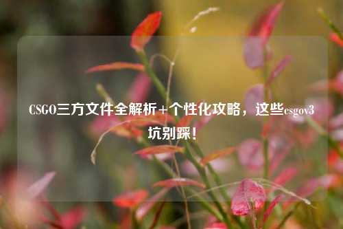 CSGO三方文件全解析+个性化攻略，这些csgov3坑别踩！