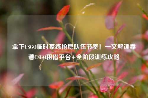 拿下CSGO临时家练枪稳队伍节奏！一文解锁靠谱CSGO租借平台+全阶段训练攻略