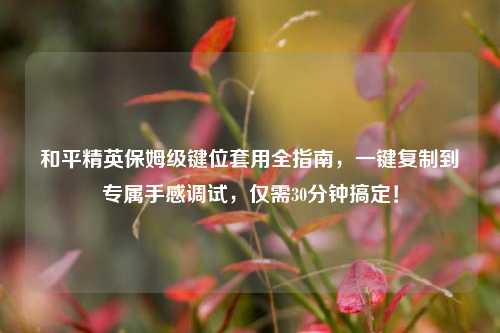 和平精英保姆级键位套用全指南，一键***到专属手感调试，仅需30分钟搞定！