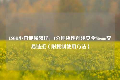 CSGO小白专属教程，1分钟快速创建安全Steam交易链接（附***使用 *** ）