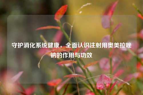 守护消化系统健康，全面认识注射用奥美拉唑钠的作用与功效
