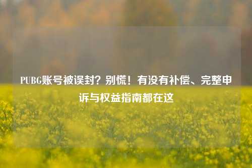 PUBG账号被误封?别慌!有没有补偿、完整申诉与权益指南都在这