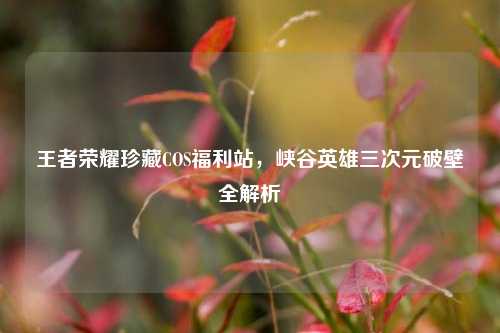 王者荣耀珍藏COS福利站，峡谷英雄三次元破壁全解析