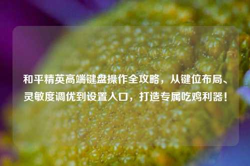 和平精英高端键盘操作全攻略,从键位布局、灵敏度调优到设置入口,打造专属吃鸡利器!
