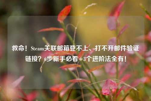 救命！Steam关联邮箱登不上、打不开邮件验证链接？6步新手必看+3个进阶法全有！