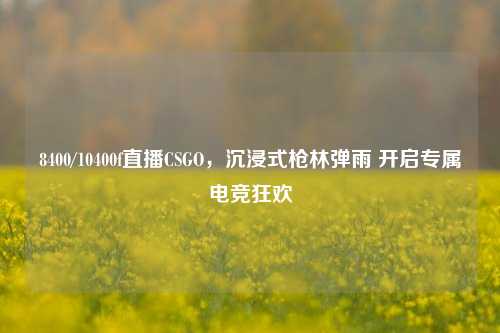 8400/10400f直播CSGO,沉浸式枪林弹雨 开启专属电竞狂欢