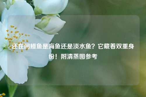还在问鳗鱼是海鱼还是淡水鱼？它藏着双重身份！附清蒸图参考
