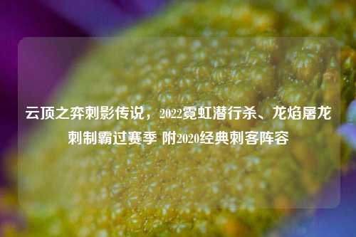 云顶之弈刺影传说,2022霓虹潜行杀、龙焰屠龙刺制霸过赛季 附2020经典刺客阵容