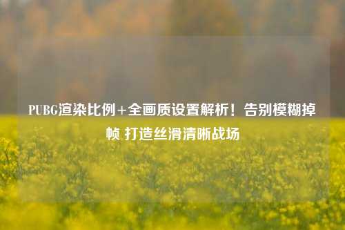 PUBG渲染比例+全画质设置解析！告别模糊掉帧 打造丝滑清晰战场