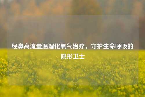 经鼻高流量温湿化氧气治疗，守护生命呼吸的隐形卫士