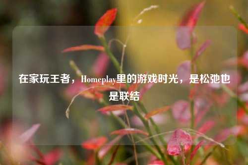 在家玩王者，Homeplay里的游戏时光，是松弛也是联结
