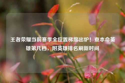 王者荣耀当前赛季全位置梯度出炉！查本命英雄第几档，附英雄排名刷新时间