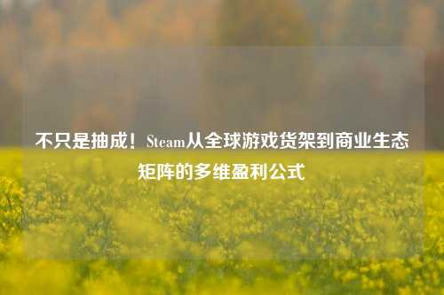不只是抽成！Steam从全球游戏货架到商业生态矩阵的多维盈利公式