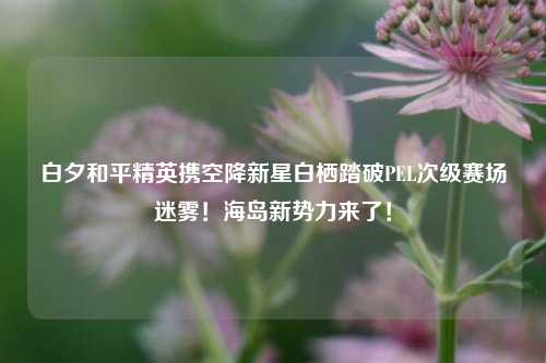 白夕和平精英携空降新星白栖踏破PEL次级赛场迷雾！海岛新势力来了！
