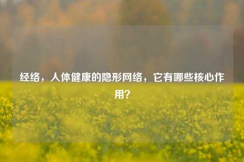 经络，人体健康的隐形 *** ，它有哪些核心作用？