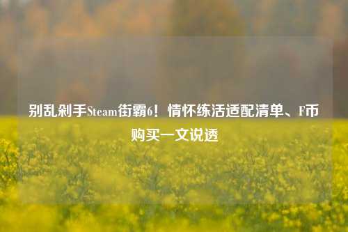 别乱剁手Steam街霸6！情怀练活适配清单、F币购买一文说透
