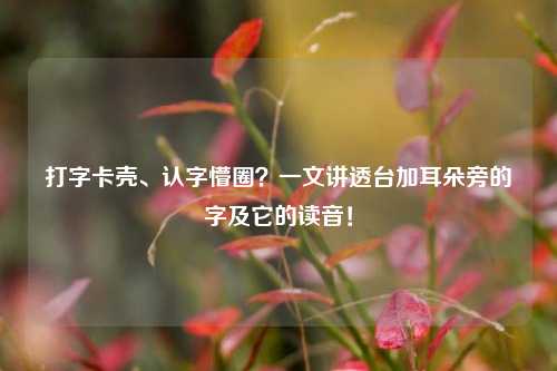 打字卡壳、认字懵圈？一文讲透台加耳朵旁的字及它的读音！
