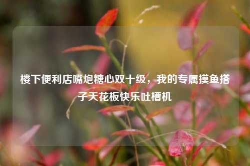 楼下便利店嘴炮糖心双十级，我的专属摸鱼搭子天花板快乐吐槽机