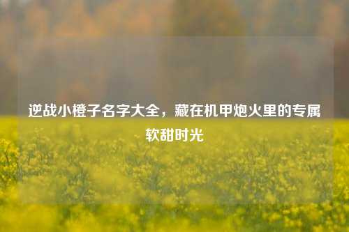 逆战小橙子名字大全,藏在机甲炮火里的专属软甜时光