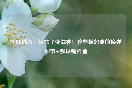 PUBG端游，从盒子变战神！这些被忽略的换弹细节+默认键科普