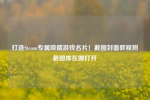 打造Steam专属吸睛游戏名片!截图封面教程附截图库在哪打开