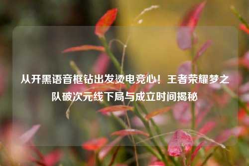 从开黑语音框钻出发烫电竞心！王者荣耀梦之队破次元线下局与成立时间揭秘