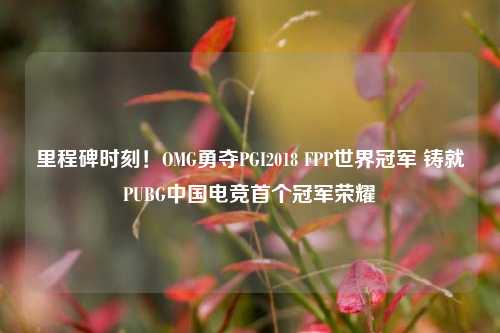 里程碑时刻！OMG勇夺PGI2018 FPP世界冠军 铸就PUBG中国电竞首个冠军荣耀