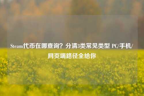 Steam代币在哪查询？分清3类常见类型 PC/手机/网页端路径全给你