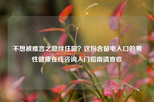 不想被难言之隐绊住脚？这份含留电入口的男性健康在线咨询入门指南请查收