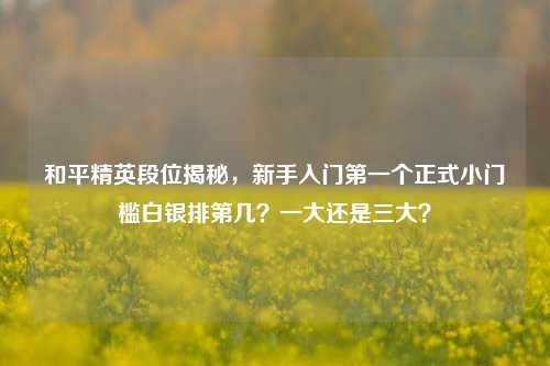 和平精英段位揭秘,新手入门之一个正式小门槛白银排第几?一大还是三大?