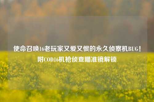 使命召唤16老玩家又爱又恨的永久侦察机BUG！附COD16机枪侦查瞄准镜解锁