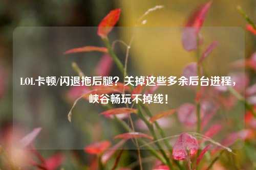 LOL卡顿/闪退拖后腿？关掉这些多余后台进程，峡谷畅玩不掉线！