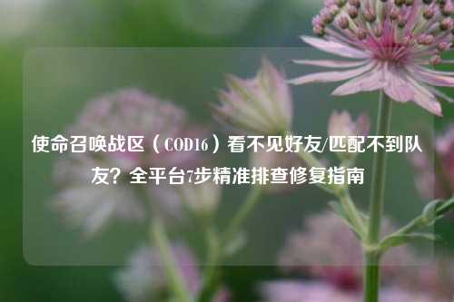 使命召唤战区（COD16）看不见好友/匹配不到队友？全平台7步精准排查修复指南